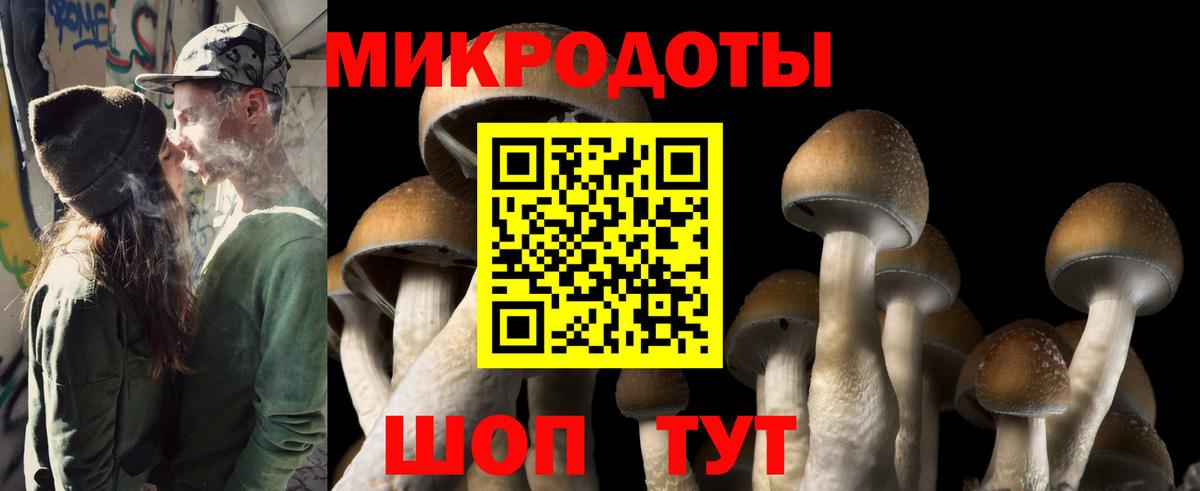 Псилоцибиновые грибы Magic Shrooms  Вход с VPN  Советск 